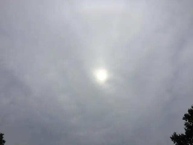 Altostratus clouds