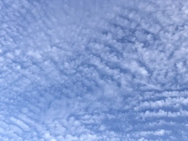 Cirrocumulus clouds