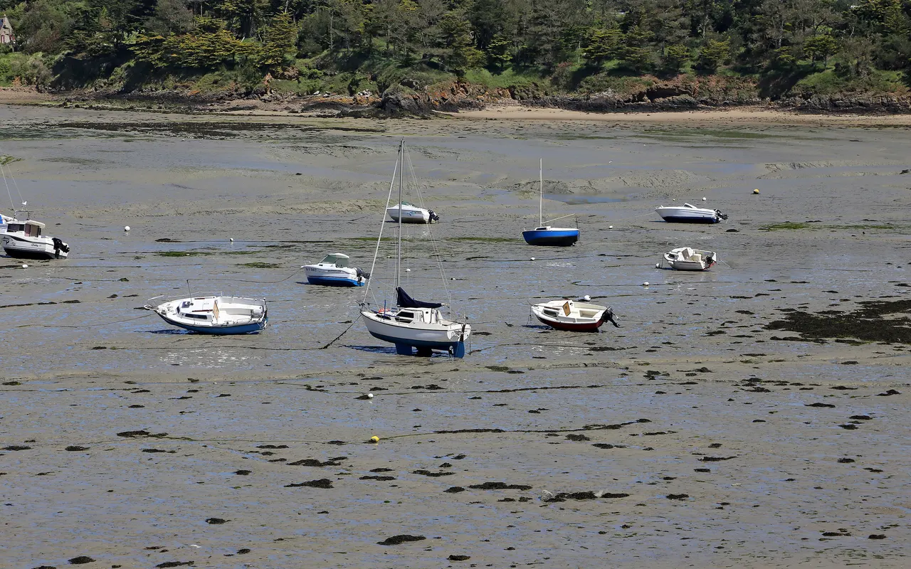 Small boats lying on a muddy seabed at low tide, with the channel almost dry