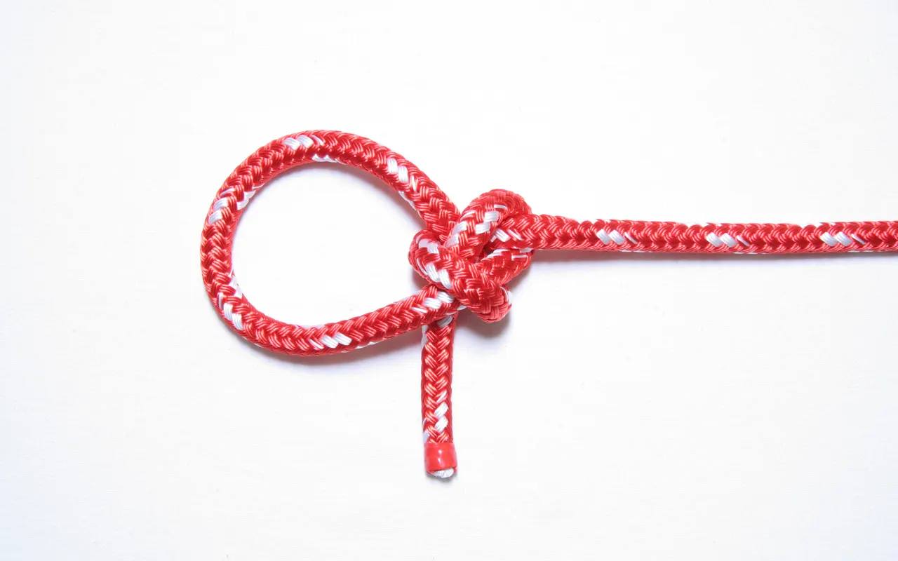 A bowline tied in red rope on a white background