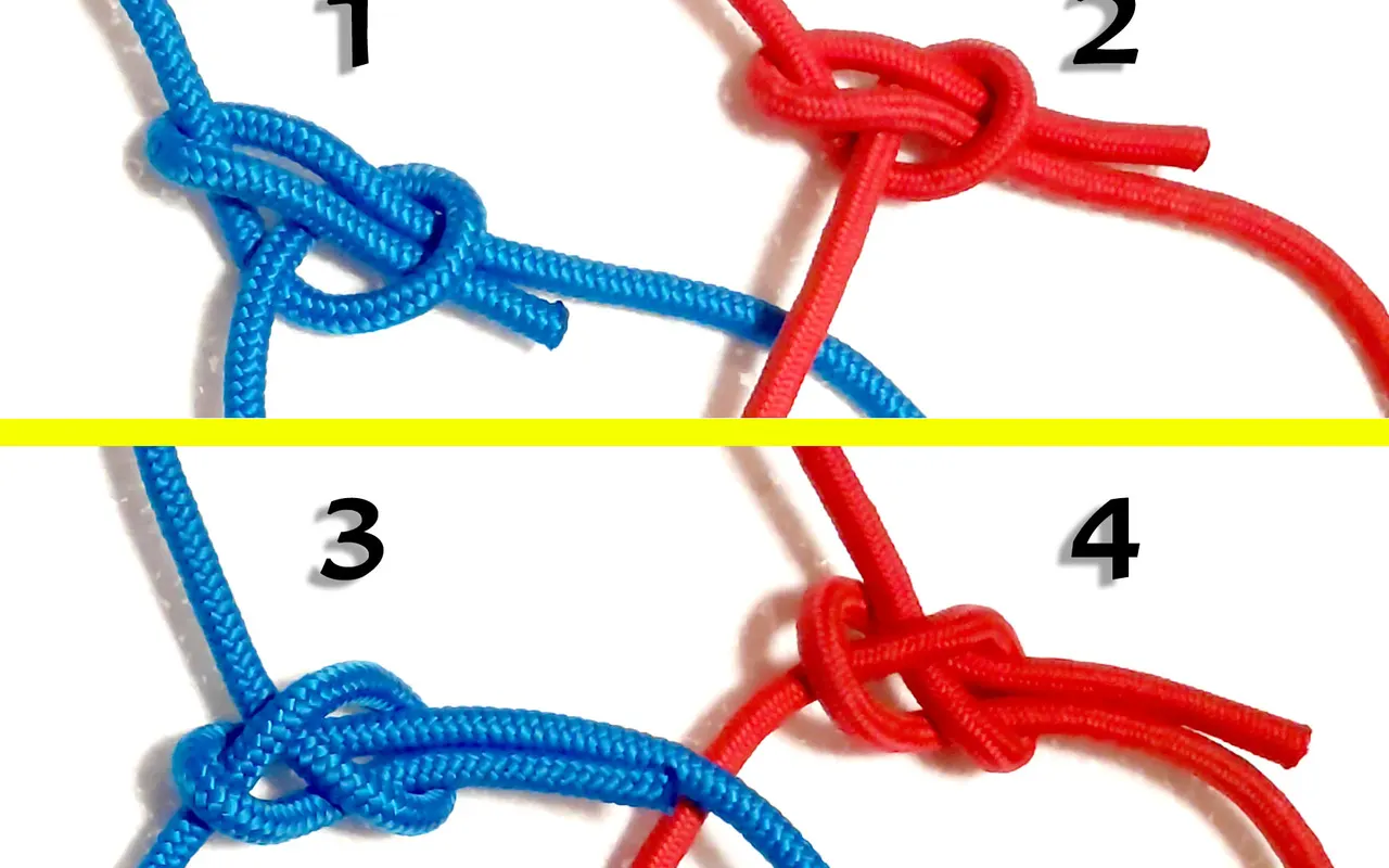 Four knots tied in blue and red rope and numbered 1 to 4 for comparison