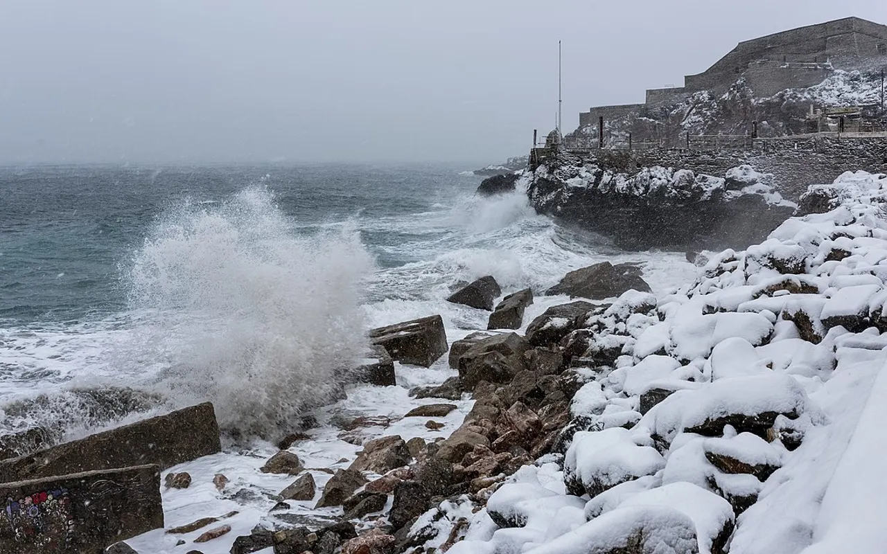 Olas rompiendo en una costa nevada en invierno