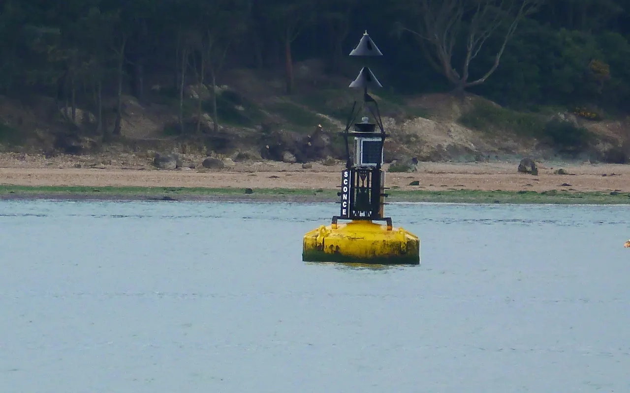 A north cardinal buoy, black over yellow with two cones pointing up, near the shore