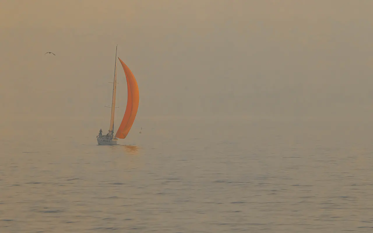 A sailing yacht with an orange sail almost hidden in thick fog off Brixham, Devon