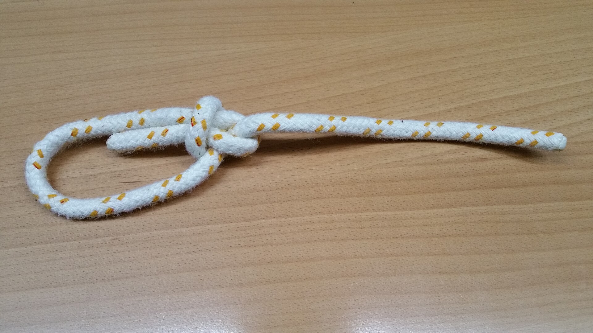 The bowline pulled snug