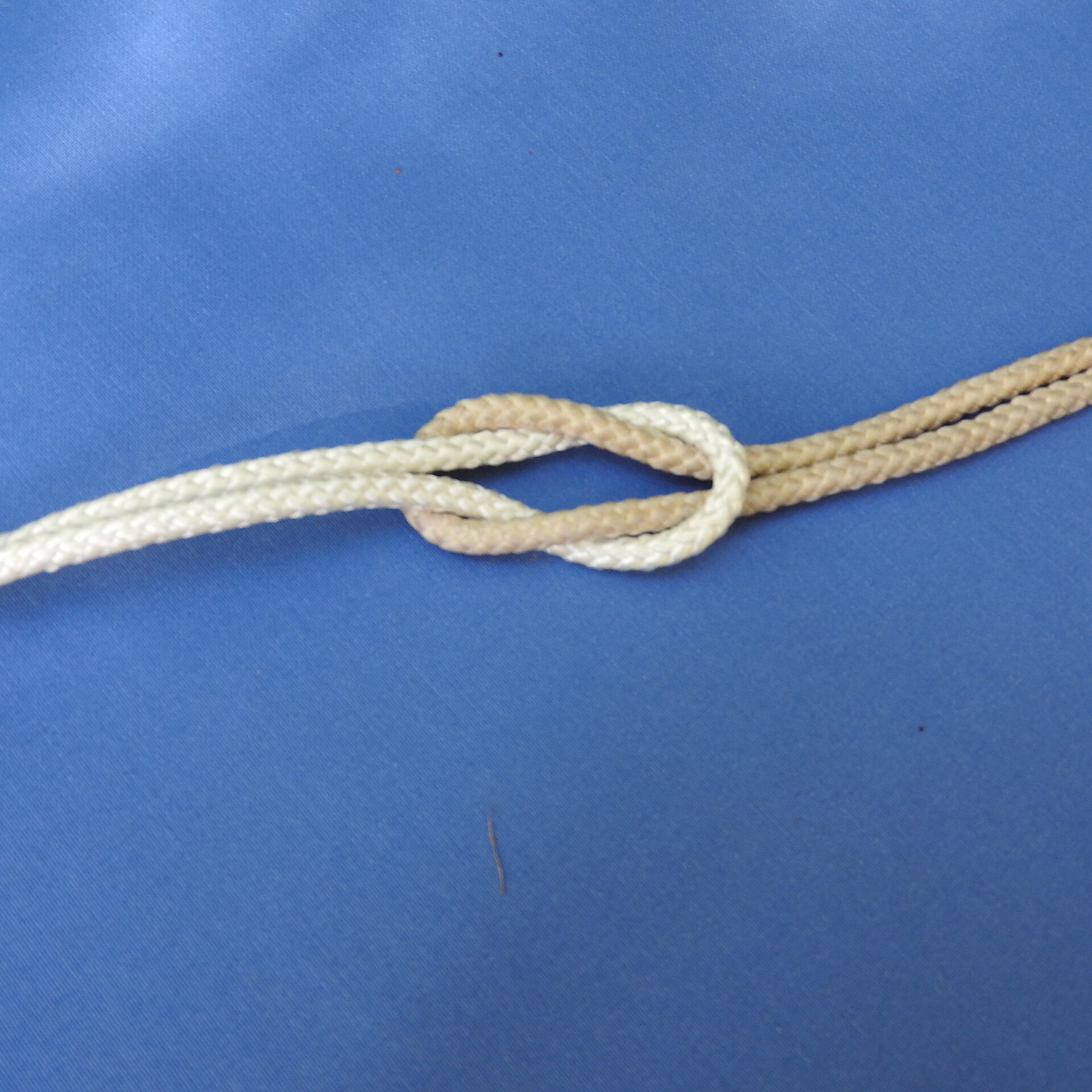 A reef knot tied in cream rope