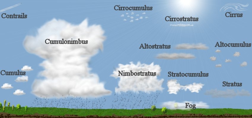 Overview of the main cloud types by height, with fog at sea level